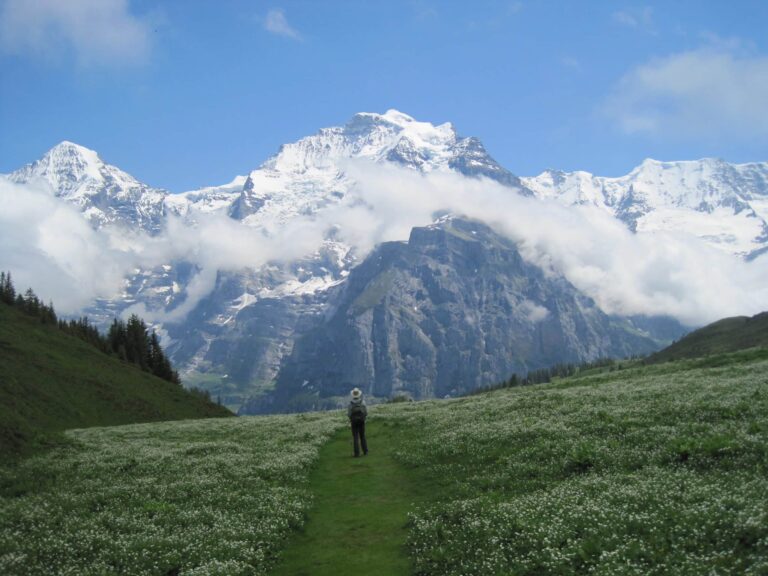 Taking Qigong on the Road – Again