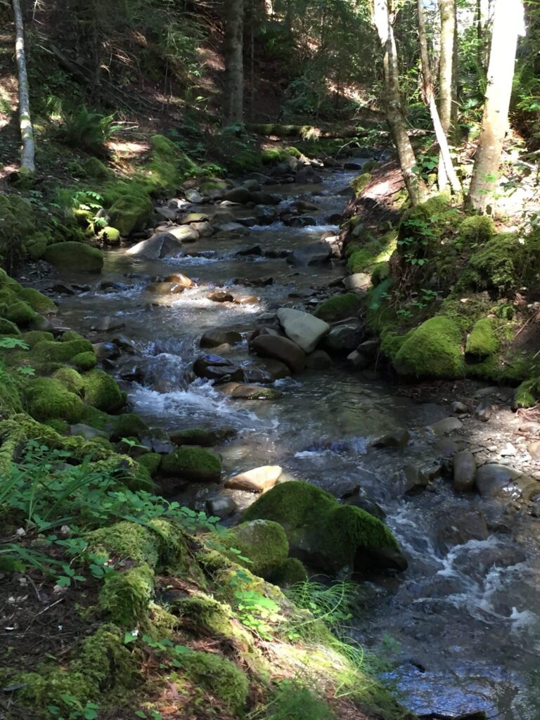 Realizations By Robin Mayfield