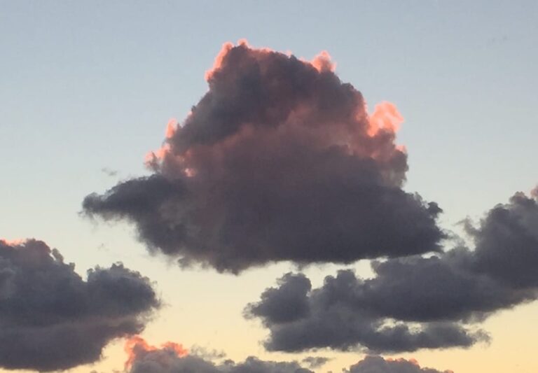 Rest Your Mind, Open Your Heart