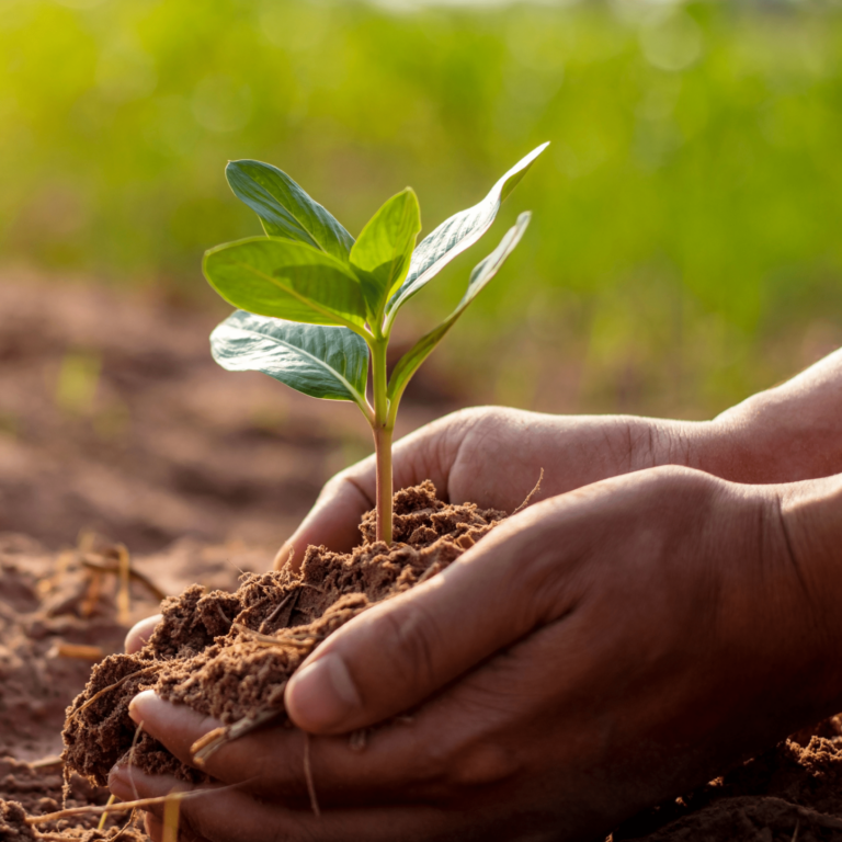 How to Nourish Yourself During the Earth Phase